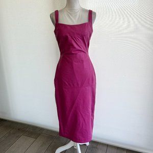 NWT Bod and Christensen pink leather dress